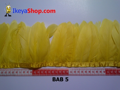 Bulu angsa BAB 5   feather  large2
